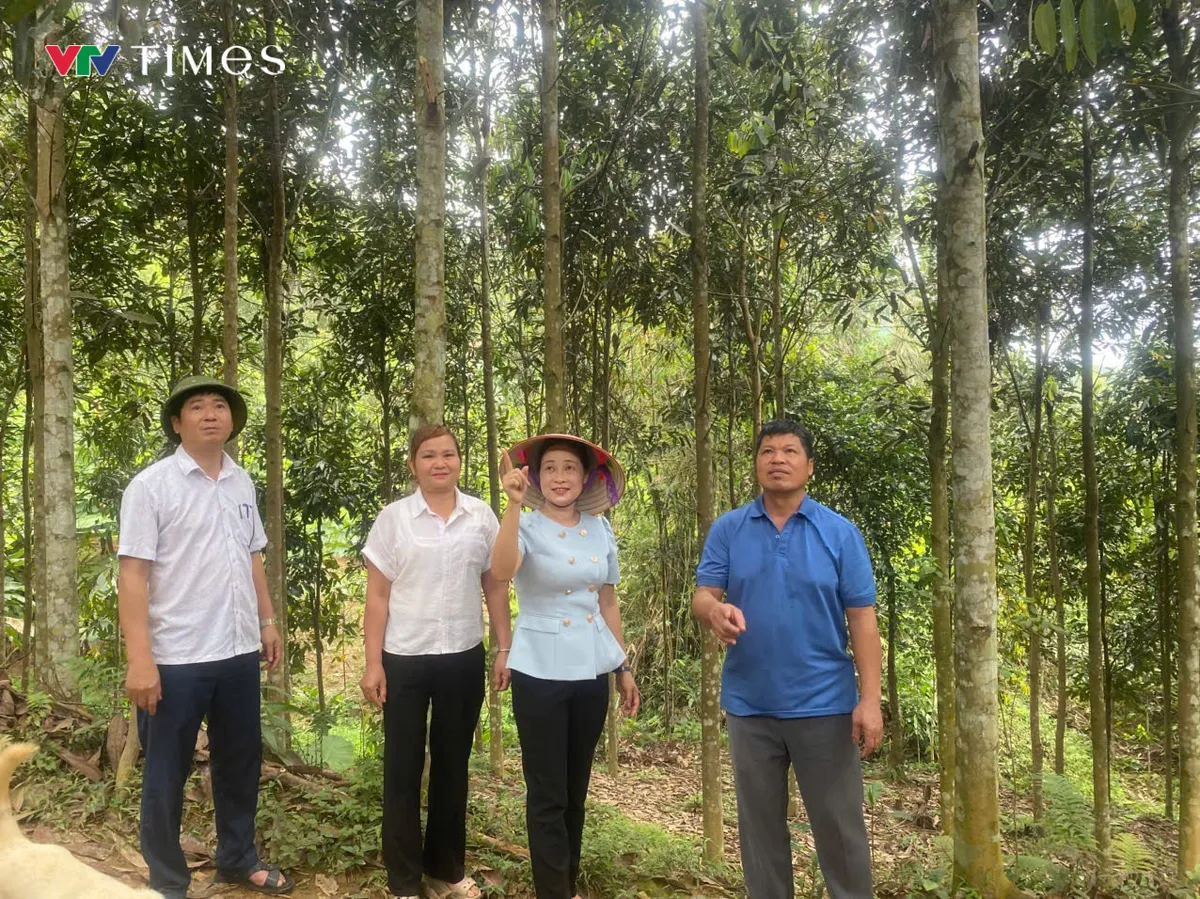 Xã Trung Sơn (Phú Thọ): Cây quế “chìa khóa” mở lối thoát nghèo bền vững - Ảnh 5.