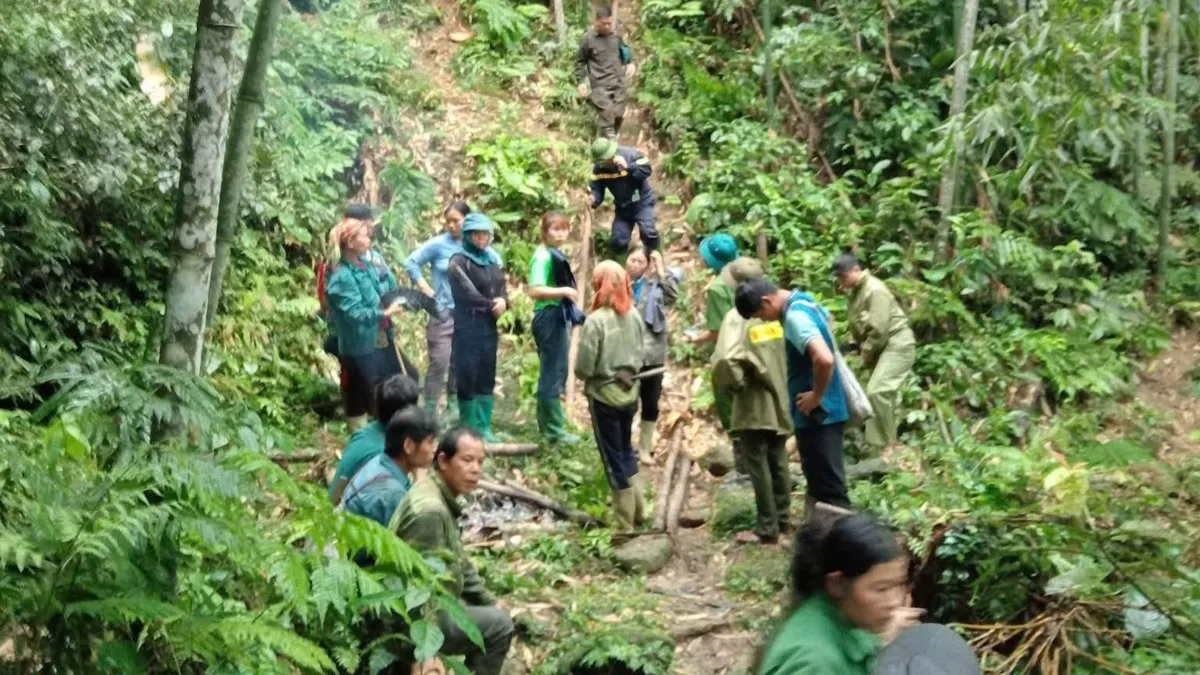 Đi tìm thảo dược, người đàn ông mất tích trong rừng- Ảnh 1. Đi tìm thảo dược, người đàn ông mất tích trong rừng- Ảnh 1.