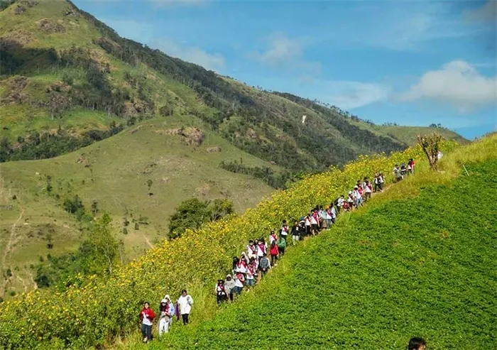 Gia Lai đẩy mạnh du lịch cộng đồng gắn với bảo tồn rừng và văn hóa bản địa- Ảnh 2. Gia Lai đẩy mạnh du lịch cộng đồng gắn với bảo tồn rừng và văn hóa bản địa- Ảnh 2.