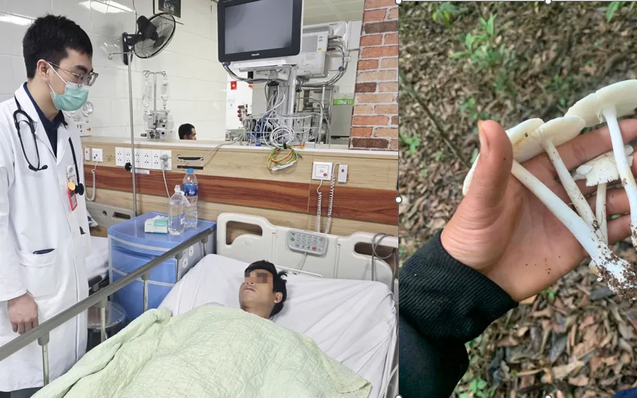 Các nạn nhân ăn nấm độc cấp cứu tại Trung tâm Chống độc, Bệnh viện Bạch Mai. Ảnh: BVCC