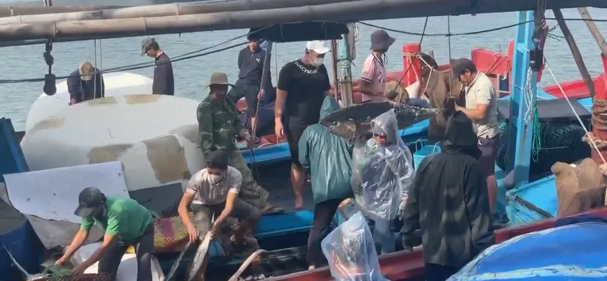 Đắk Lắk: Ngư d&acirc;n khai th&aacute;c hơn 1.660 tấn c&aacute; ngừ đại dương- Ảnh 2.