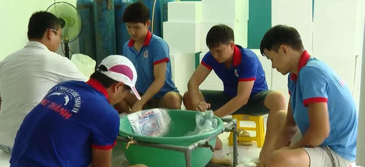 Minh bạch chất lượng t&ocirc;m giống- Ảnh 1.