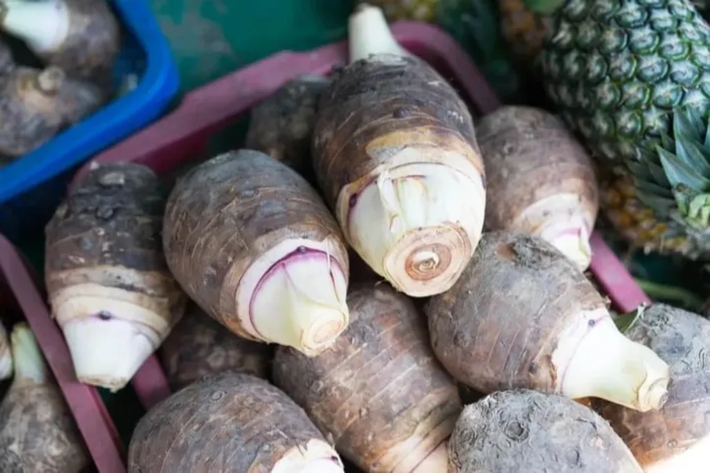 Khoai m&ocirc;n &ndash; loại củ d&acirc;n d&atilde; được người Nhật v&iacute; như &ldquo;m&oacute;n ăn trường thọ&rdquo;- Ảnh 1.