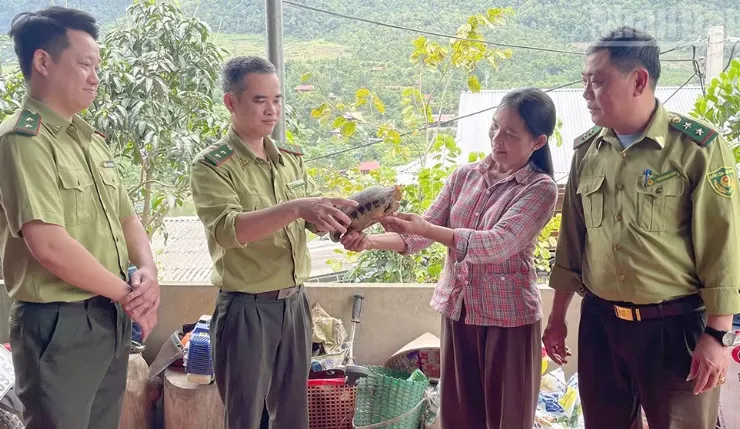 Quảng Ngãi tiếp nhận 2 cá thể rùa quý hiếm từ người dân - Ảnh 2.