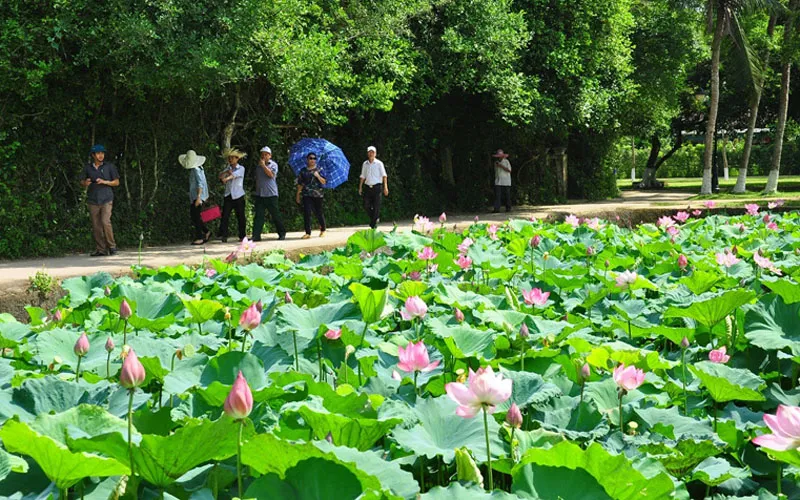 Khu di tích Kim Liên: Hành trình về nguồn của triệu trái tim con dân Việt Nam- Ảnh 2. Khu di tích Kim Liên: Hành trình về nguồn của triệu trái tim con dân Việt Nam- Ảnh 2.