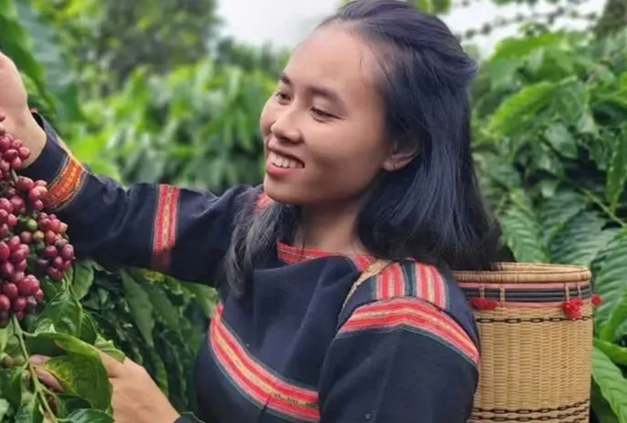 Bản tin nông sản hôm nay (12-5): Giá cà phê giảm nhẹ- Ảnh 1. Bản tin nông sản hôm nay (12-5): Giá cà phê giảm nhẹ- Ảnh 1.