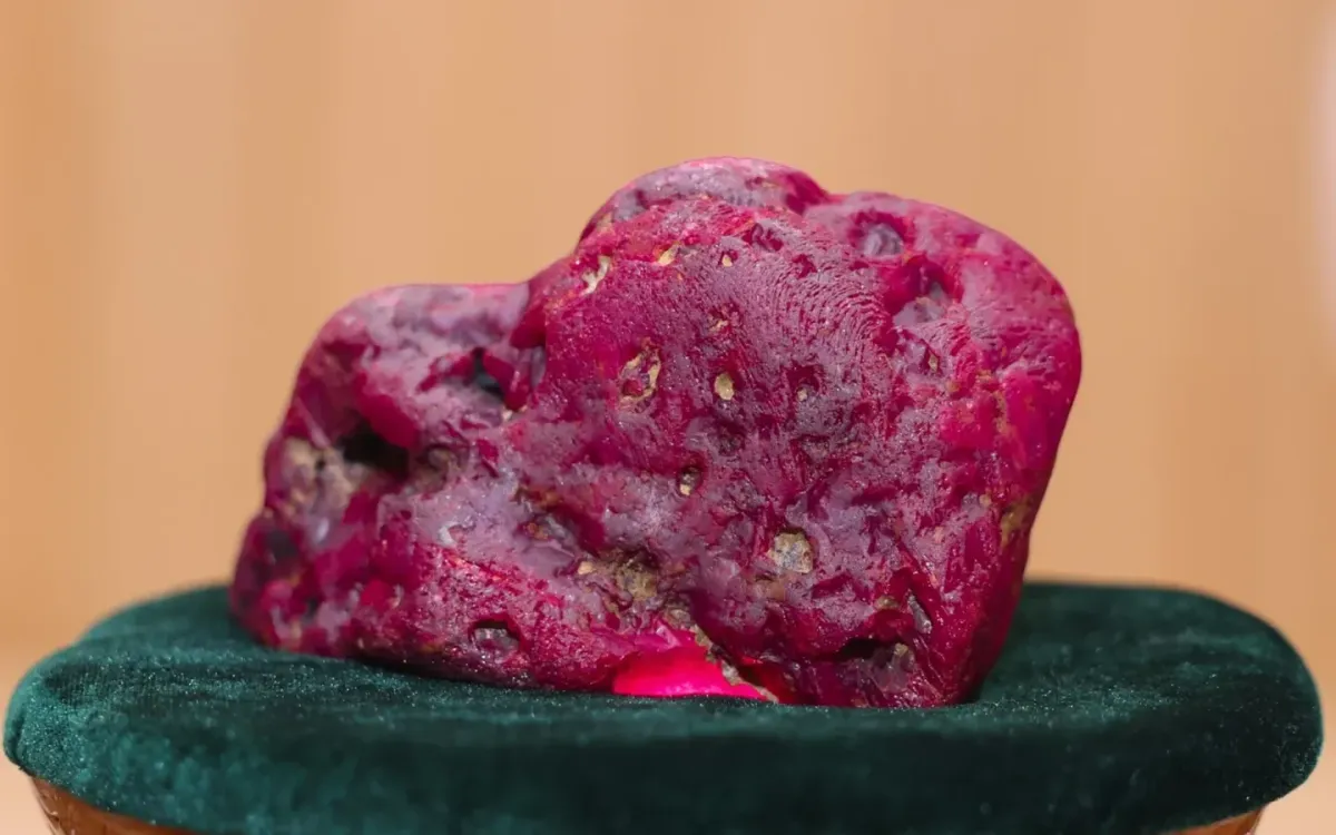 Viên ruby mới được phát hiện được trưng bày tại văn phòng Tổng thống ở Naypyitaw, Myanmar, ngày 7/5/2026. (Ảnh: AP)