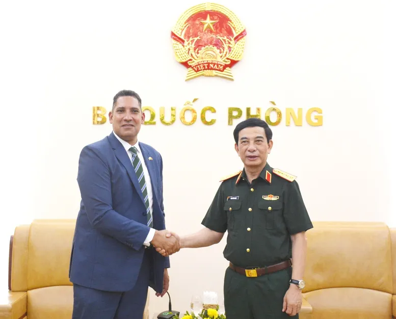 Phó Thủ tướng, Bộ trưởng Bộ Quốc phòng tiếp Đại sứ Thụy Điển và Đại sứ Algeria - Ảnh 1.