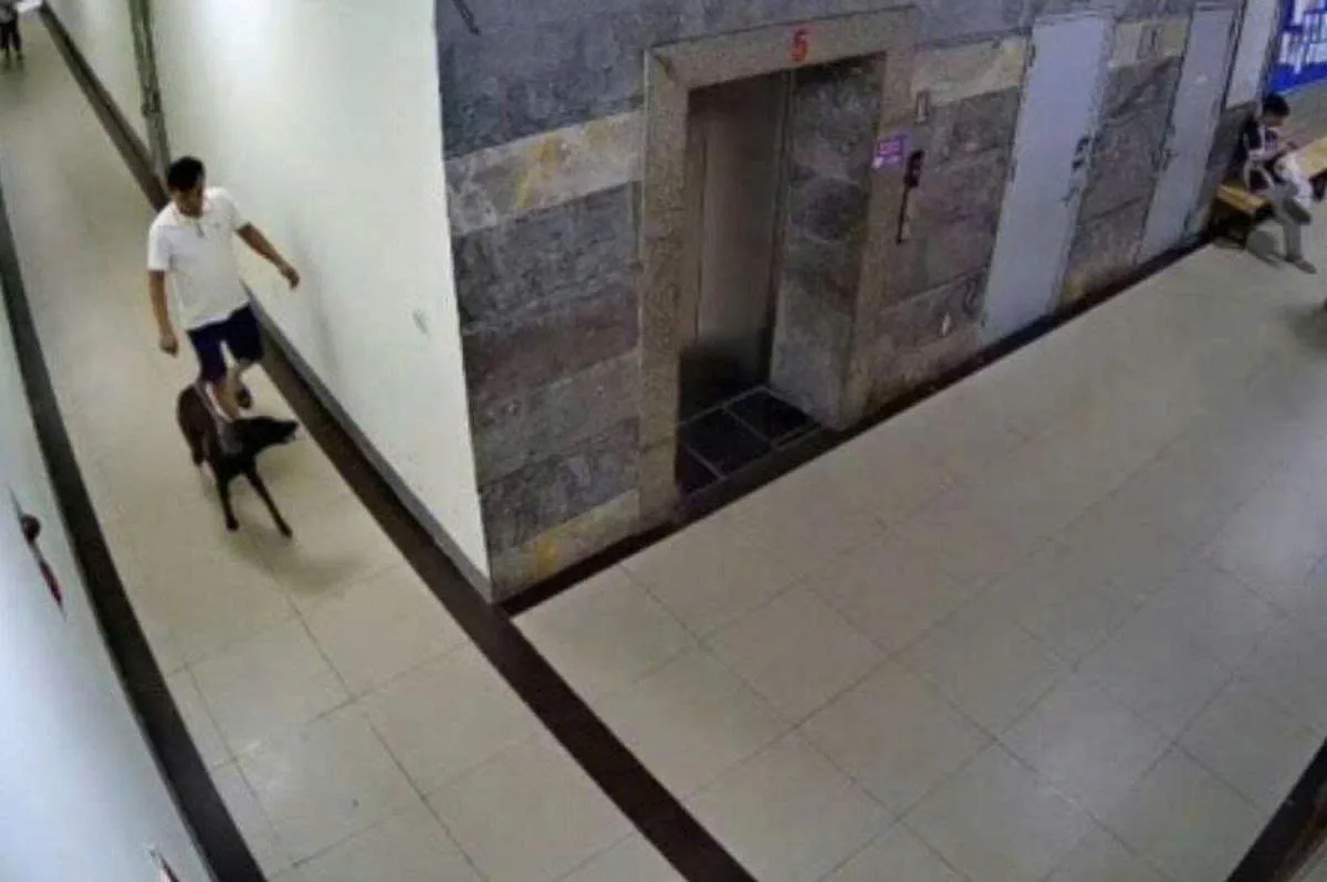 H&agrave; Nội: M&acirc;u thuẫn từ việc nhắc đeo rọ m&otilde;m cho ch&oacute;, một người phải nhập viện - Ảnh 2.