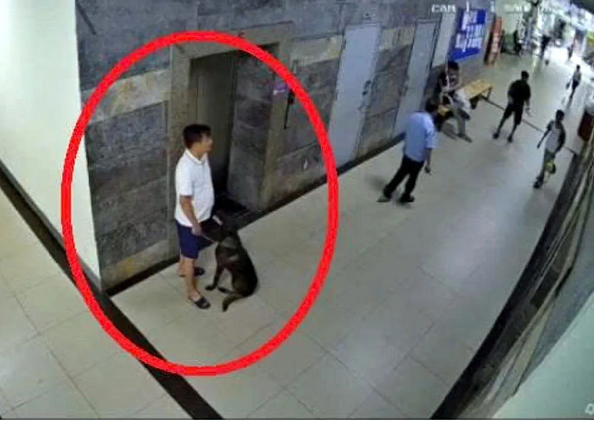 H&agrave; Nội: M&acirc;u thuẫn từ việc nhắc đeo rọ m&otilde;m cho ch&oacute;, một người phải nhập viện - Ảnh 3.
