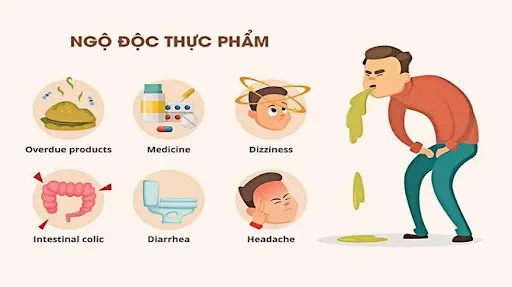 C&aacute;ch nhận biết v&agrave; xử l&yacute; ngộ độc thực phẩm trong m&ugrave;a nắng n&oacute;ng- Ảnh 1.