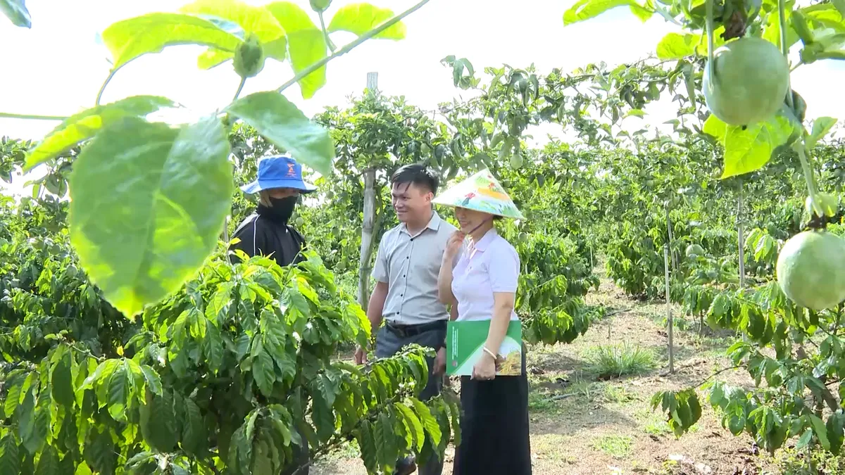 Gia Lai: Hỗ trợ vốn vay cho người sau cai nghiện t&aacute;i h&ograve;a nhập- Ảnh 3.