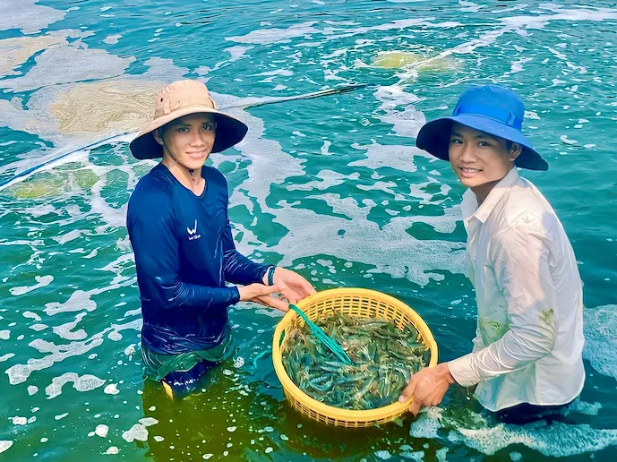 Mỹ c&ocirc;ng bố sơ bộ mức thuế chống b&aacute;n ph&aacute; gi&aacute; mới với t&ocirc;m Việt Nam- Ảnh 1.