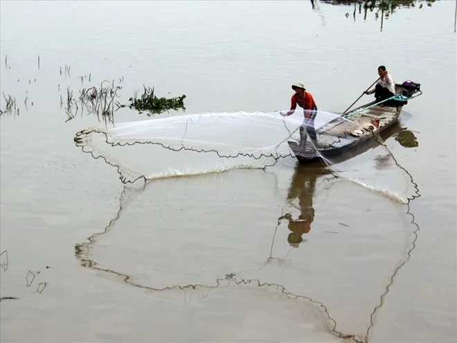 Mùa nước nổi miền Tây: Bản giao hưởng của thiên nhiên và con người- Ảnh 3. Mùa nước nổi miền Tây: Bản giao hưởng của thiên nhiên và con người- Ảnh 3.