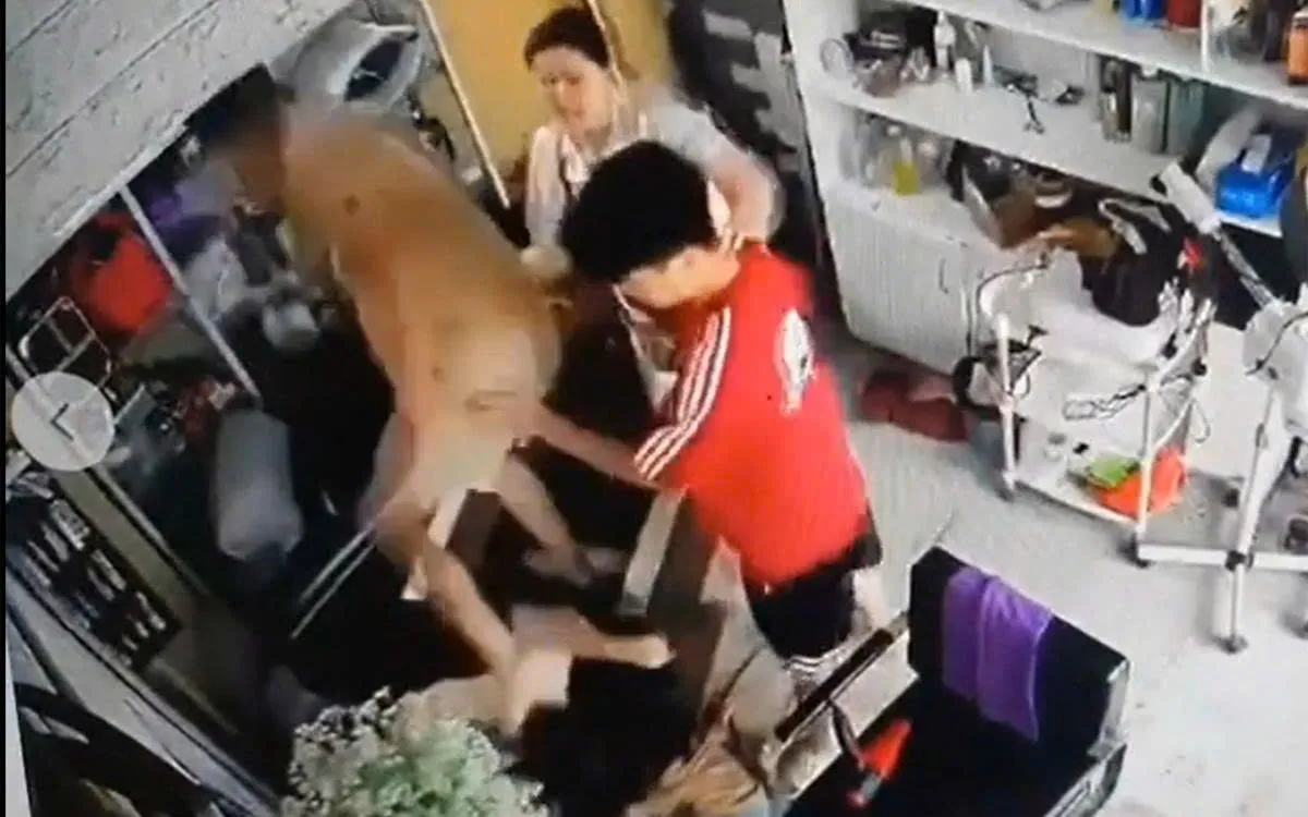 Ảnh cắt từ clip.