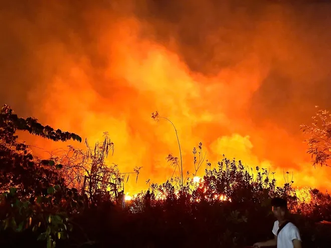 H&agrave;ng trăm người khống chế ch&aacute;y lớn b&atilde;i cỏ ở TP Hồ Ch&iacute; Minh- Ảnh 3.