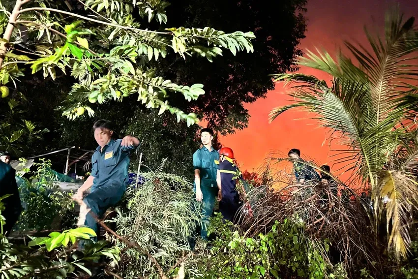 H&agrave;ng trăm người khống chế ch&aacute;y lớn b&atilde;i cỏ ở TP Hồ Ch&iacute; Minh- Ảnh 4.