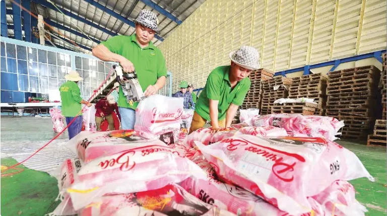 Xuất khẩu gạo &ldquo;đ&oacute;n s&oacute;ng&rdquo; thị trường- Ảnh 1.