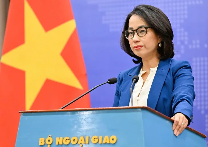 Phản đối hành vi xâm phạm chủ quyền của Việt Nam tại quần đảo Trường Sa - Ảnh 1.