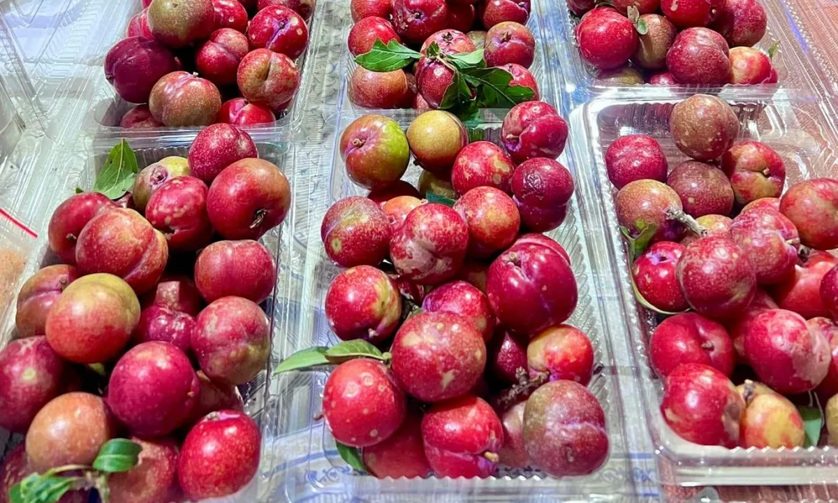 Ăn mận hậu c&oacute; g&acirc;y n&oacute;ng trong, nổi mụn?- Ảnh 1.