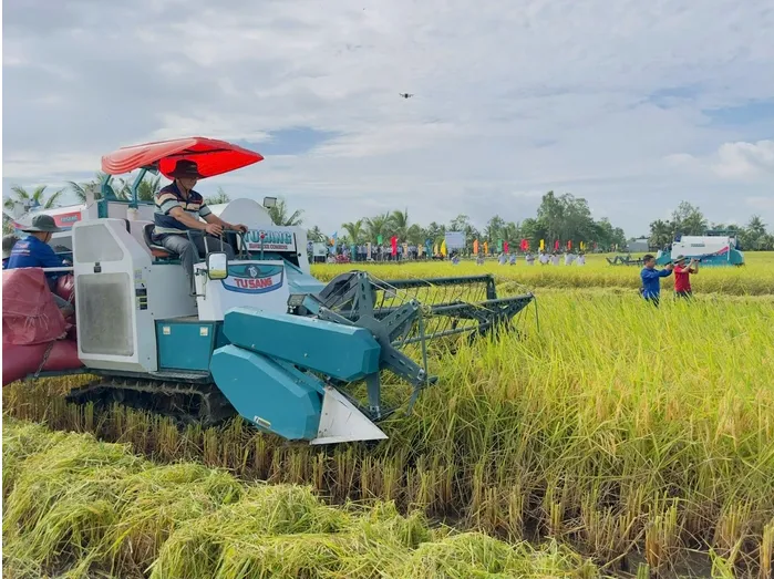 Gạo ph&aacute;t thải thấp tạo lợi thế cạnh tranh mới- Ảnh 1.