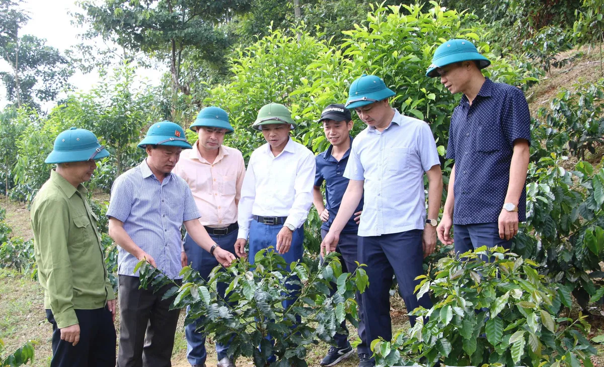 Điện Biên tạo đột phá phát triển từ tinh thần hành động sau Nghị quyết Đại hội XIV của Đảng - Ảnh 3.