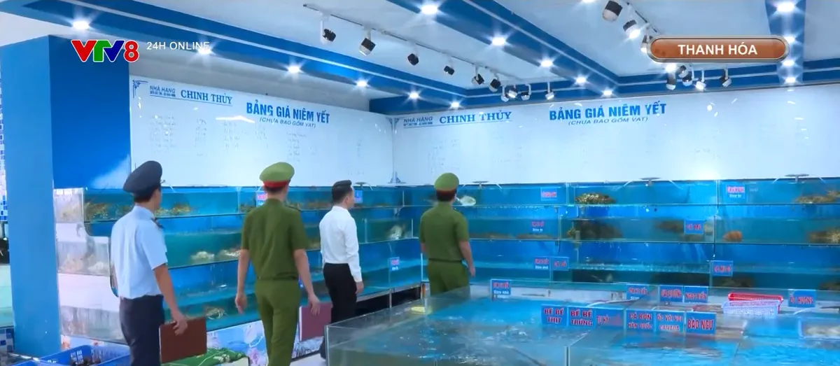 Thanh Ho&aacute; tăng cường c&aacute;c hoạt động quản l&yacute; du lịch biển - Ảnh 1.