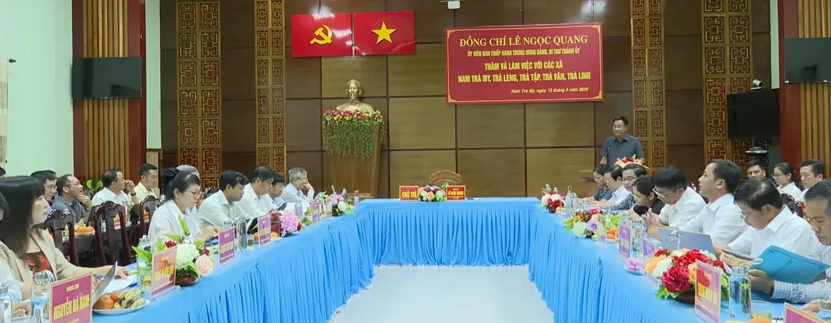 Đà Nẵng đầu tư phát triển vùng sản xuất Sâm Ngọc Linh- Ảnh 1. Đà Nẵng đầu tư phát triển vùng sản xuất Sâm Ngọc Linh- Ảnh 1.