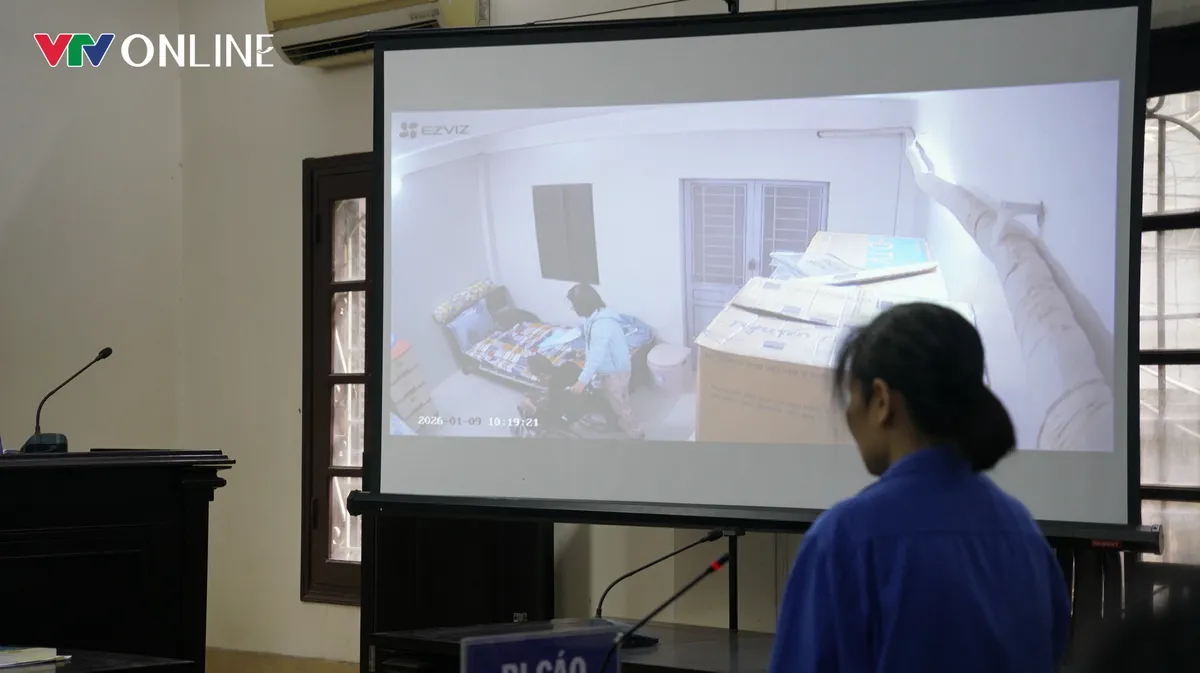 Nữ gi&uacute;p việc bạo h&agrave;nh b&agrave; cụ 82 tuổi lĩnh 24 th&aacute;ng t&ugrave; - Ảnh 3.