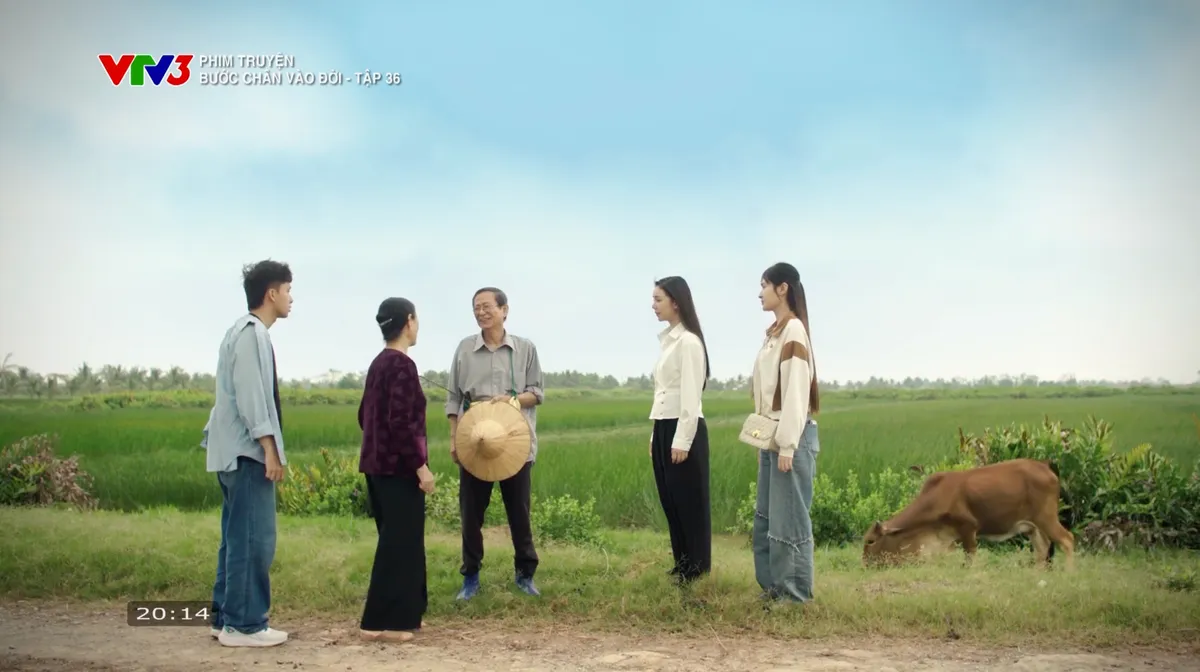 Bước chân vào đời - Tập cuối: Đoạn kết cho chuyện tình Thương, Quân và Lâm - Ảnh 8.