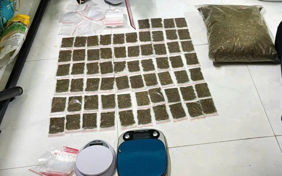 Kh&aacute;nh H&ograve;a: Triệt ph&aacute; đường d&acirc;y ma t&uacute;y trong Chuy&ecirc;n &aacute;n KH526 - Ảnh 2.