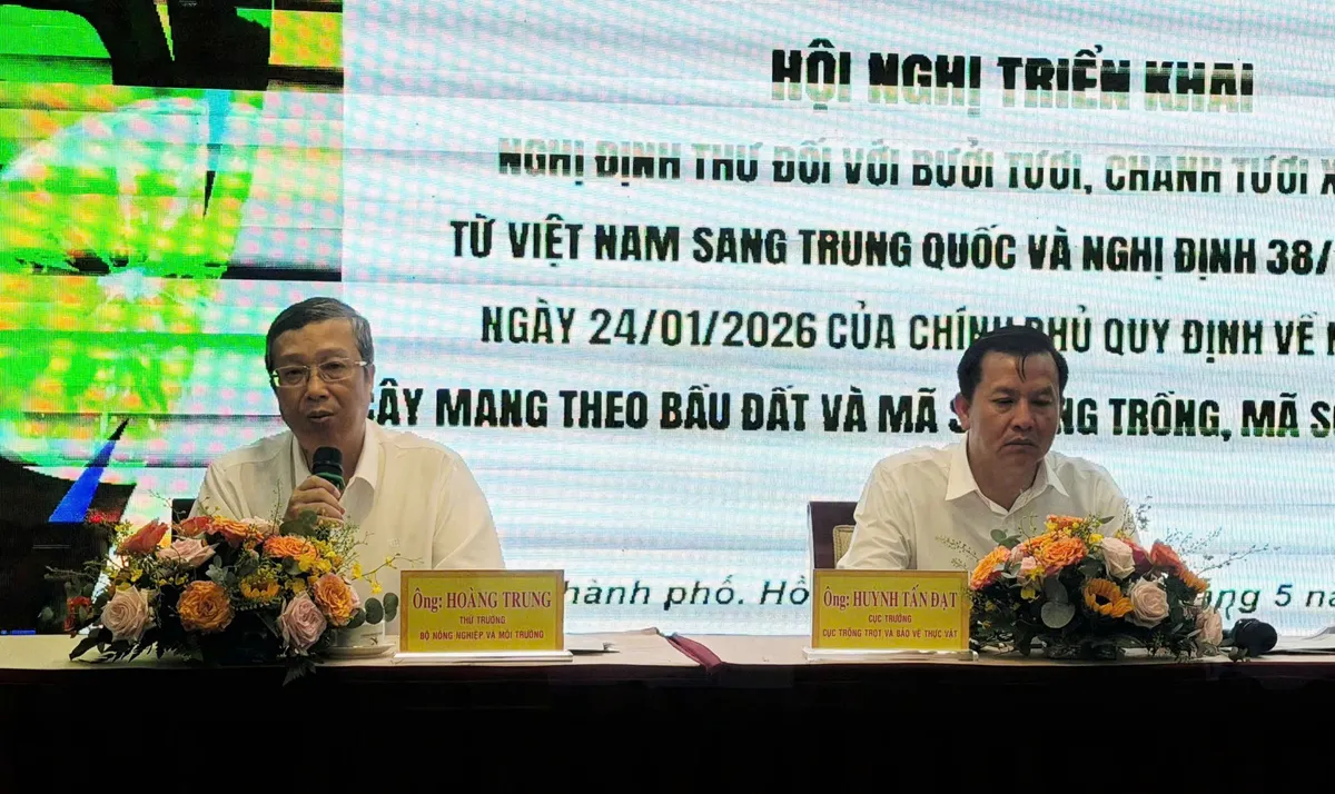 Xuất khẩu bưởi, chanh sang Trung Quốc: Giữ uy t&iacute;n để giữ thị trường - Ảnh 1.