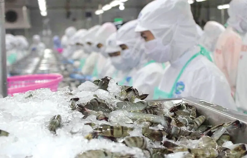 Mỹ c&ocirc;ng bố mức thuế sơ bộ đối với t&ocirc;m Việt Nam, cao nhất hơn 10%- Ảnh 1.
