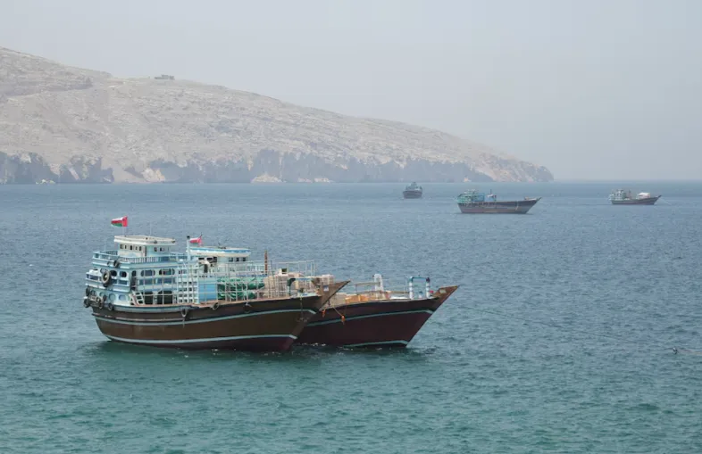 Tấn c&ocirc;ng, bắt giữ t&agrave;u gần eo biển Hormuz tiếp diễn  - Ảnh 1.