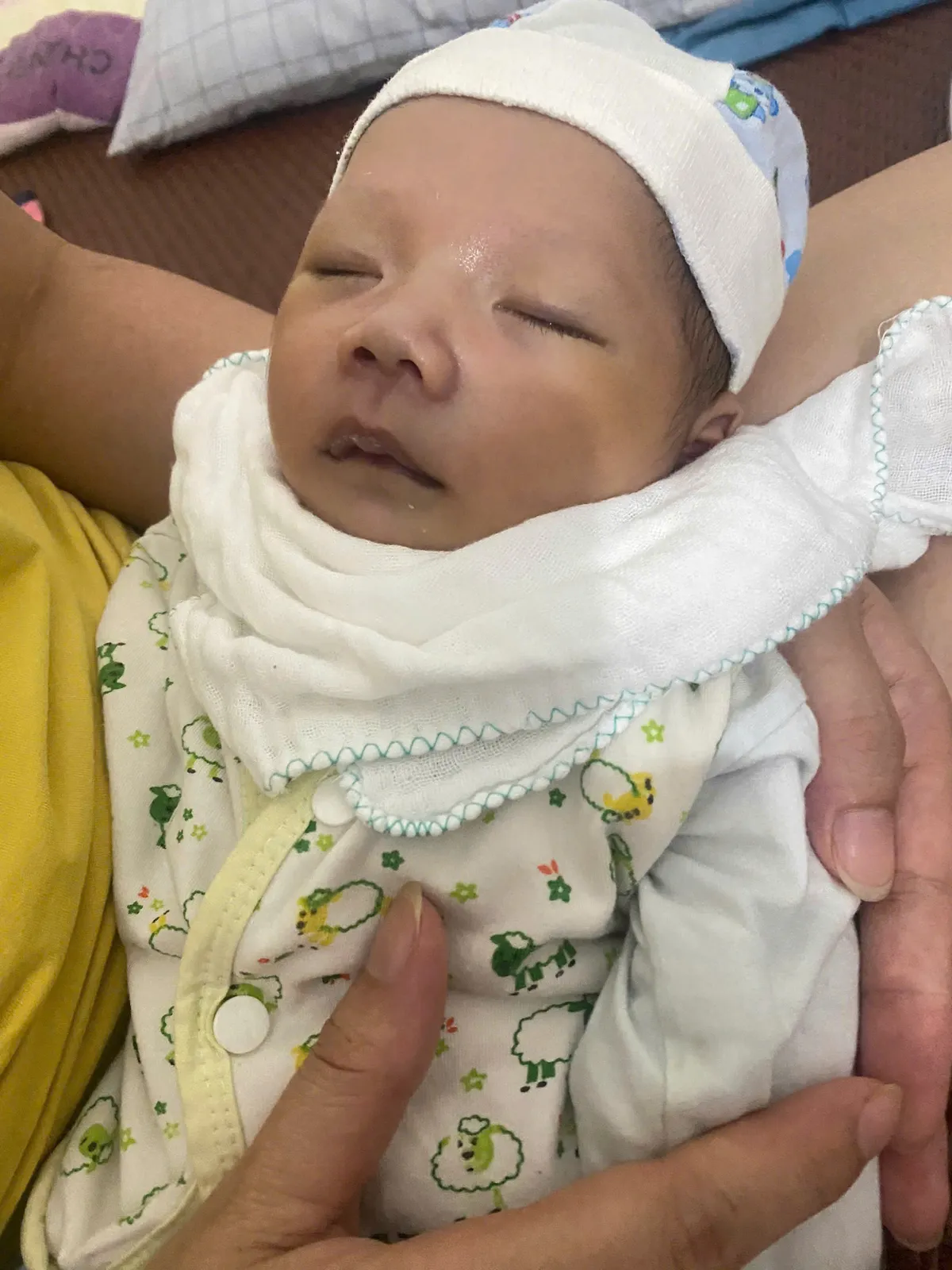 C&ugrave;ng Tr&aacute;i tim cho em viết tiếp nhịp sống cho b&eacute; Trần Anh Minh Ph&aacute;t- Ảnh 1.