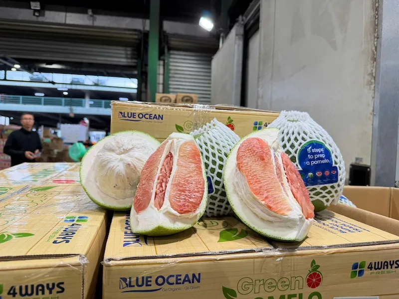 Bưởi, chanh Việt Nam được xuất khẩu ch&iacute;nh ngạch sang Trung Quốc- Ảnh 1.