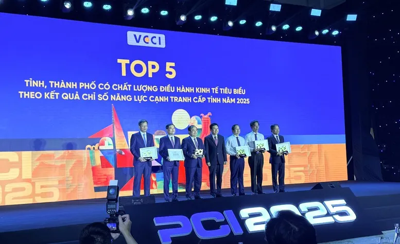 TP. Hồ Ch&iacute; Minh đứng đầu Chỉ số Hiệu quả Kinh tế tư nh&acirc;n- Ảnh 1.