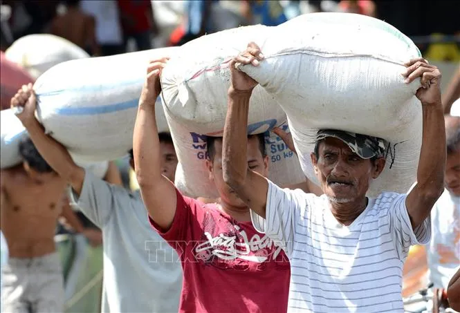 Người dân bốc xếp gạo từ nhà kho ở Tacloban, Philippines. Ảnh tư liệu: AFP/TTXVN