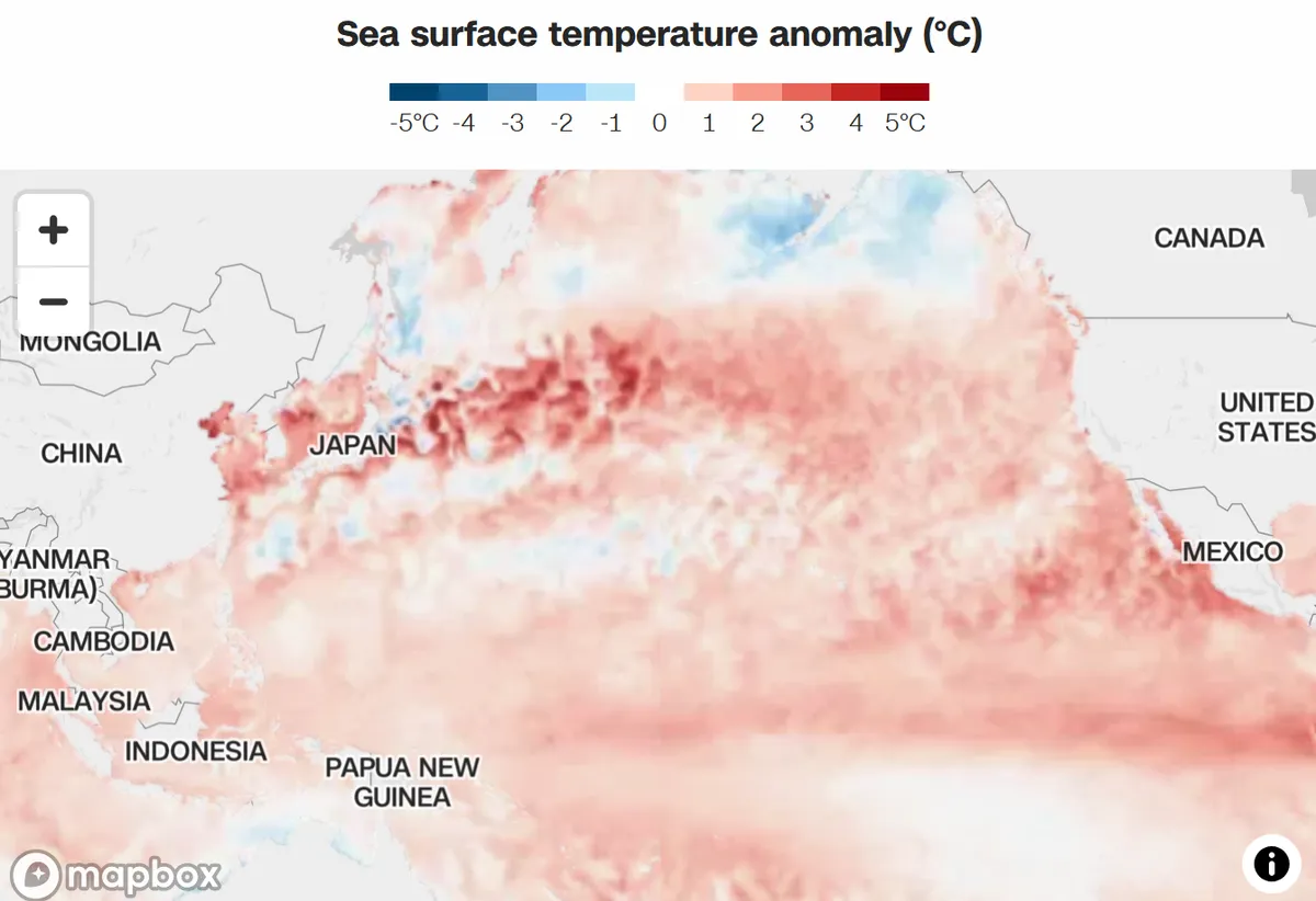 Nhiều khả năng xuất hiện đợt El Nino cực mạnh- Ảnh 2.