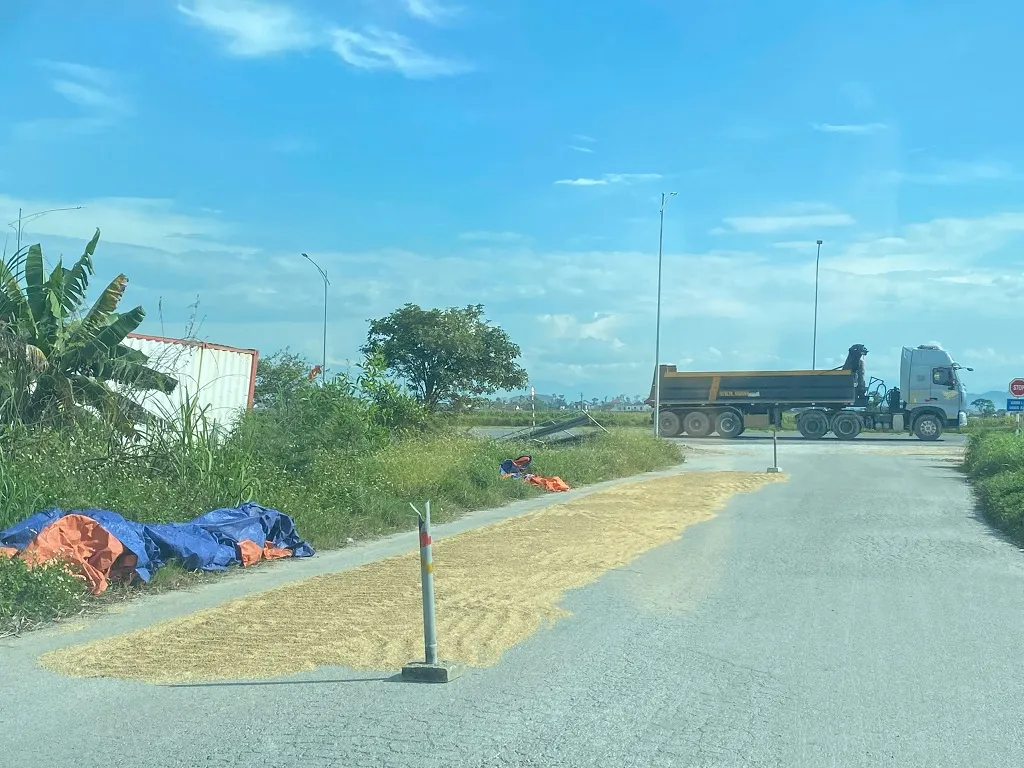 Cảnh b&aacute;o nguy cơ ch&aacute;y do phơi, đốt rơm rạ m&ugrave;a thu hoạch l&uacute;a  - Ảnh 2.