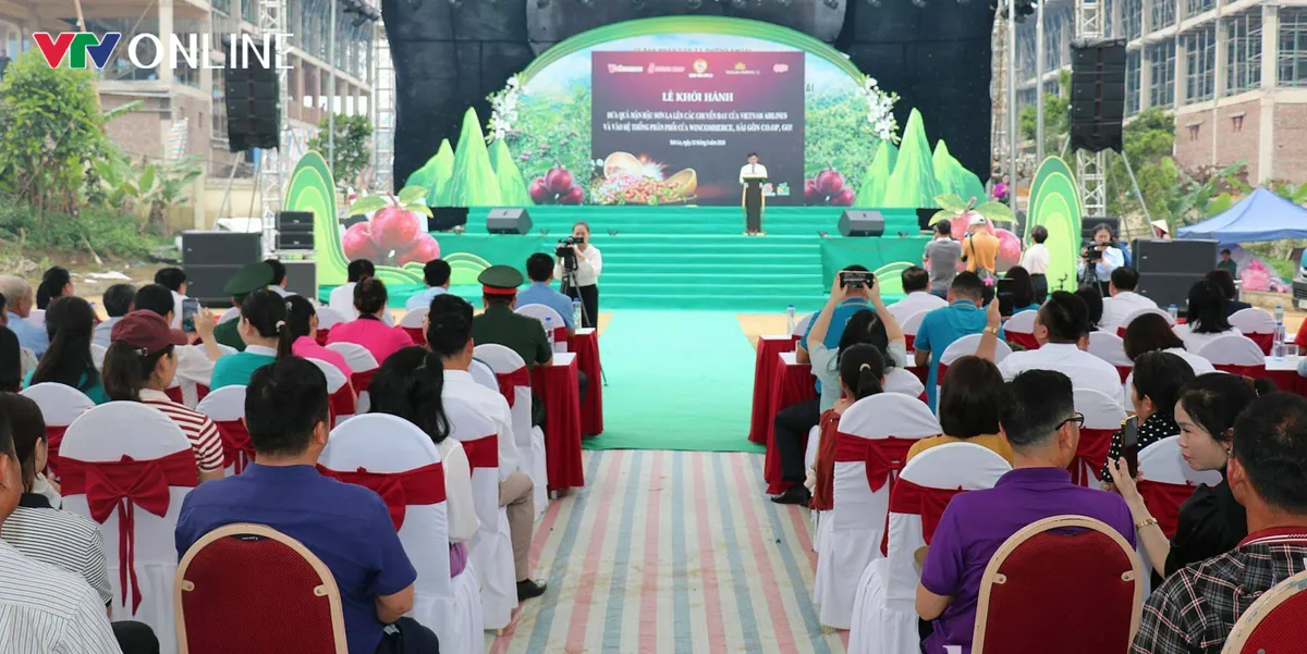 Mận hậu Sơn La l&ecirc;n m&aacute;y bay, v&agrave;o chuỗi si&ecirc;u thị - Ảnh 1.