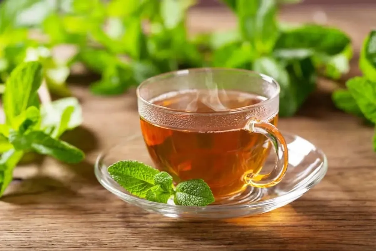 Tr&agrave; bạc h&agrave; gi&uacute;p giảm đầy bụng, hỗ trợ ti&ecirc;u h&oacute;a sau bữa tối- Ảnh 1.