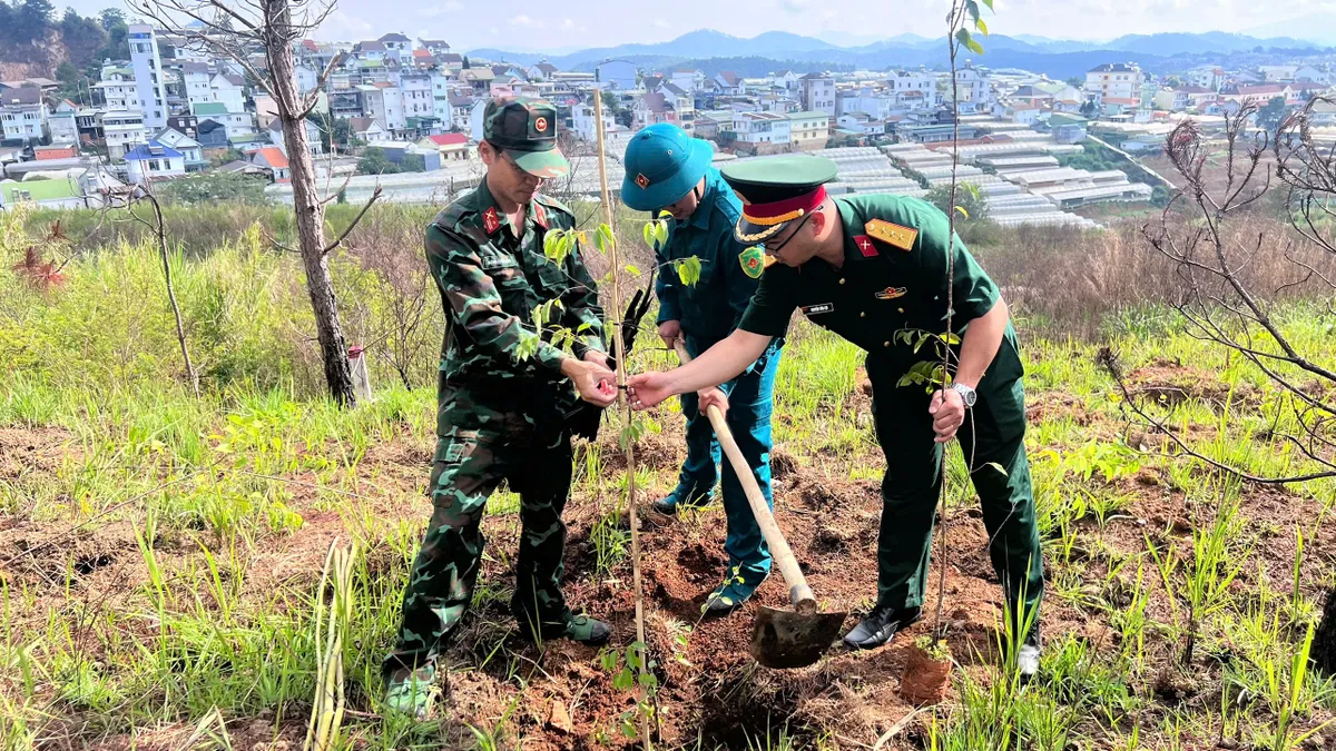 Đ&agrave; Lạt: Rộn r&agrave;ng ng&agrave;y hội trồng mai anh đ&agrave;o mừng sinh nhật B&aacute;c- Ảnh 1.