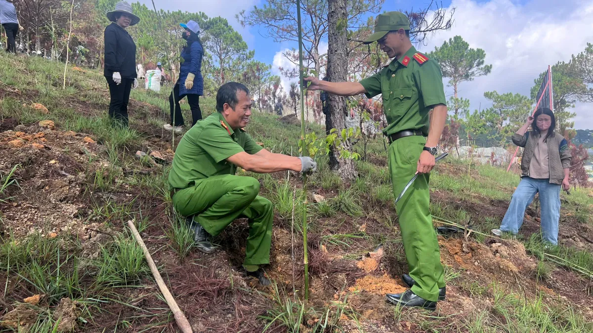 Đ&agrave; Lạt: Rộn r&agrave;ng ng&agrave;y hội trồng mai anh đ&agrave;o mừng sinh nhật B&aacute;c- Ảnh 3.