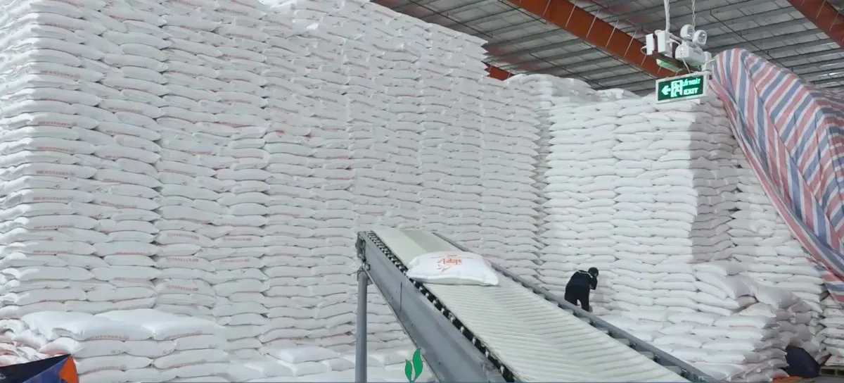 Ngành mía đường đối mặt áp lực lớn vì đường nhập lậu và tồn kho tăng cao- Ảnh 6. Ngành mía đường đối mặt áp lực lớn vì đường nhập lậu và tồn kho tăng cao- Ảnh 6.