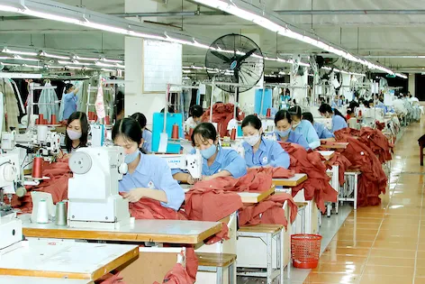 Dệt may chuẩn bị cho kịch bản thị trường kh&oacute; khăn nửa cuối năm
- Ảnh 1.