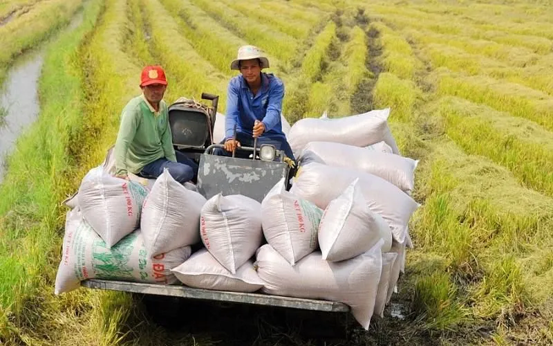 22 địa phương triển khai sản xuất giảm phát thải