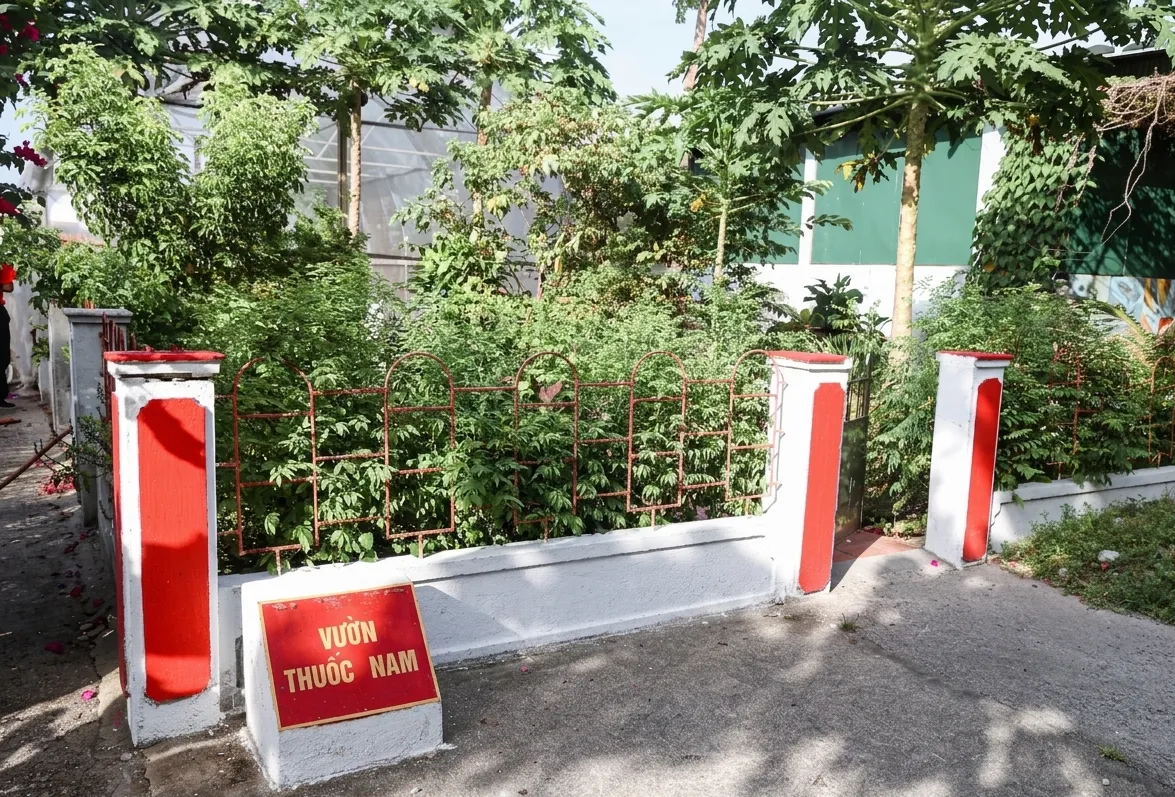 Y tế biển đảo góp phần giữ vững chủ quyền Tổ quốc- Ảnh 3. Y tế biển đảo góp phần giữ vững chủ quyền Tổ quốc- Ảnh 3.