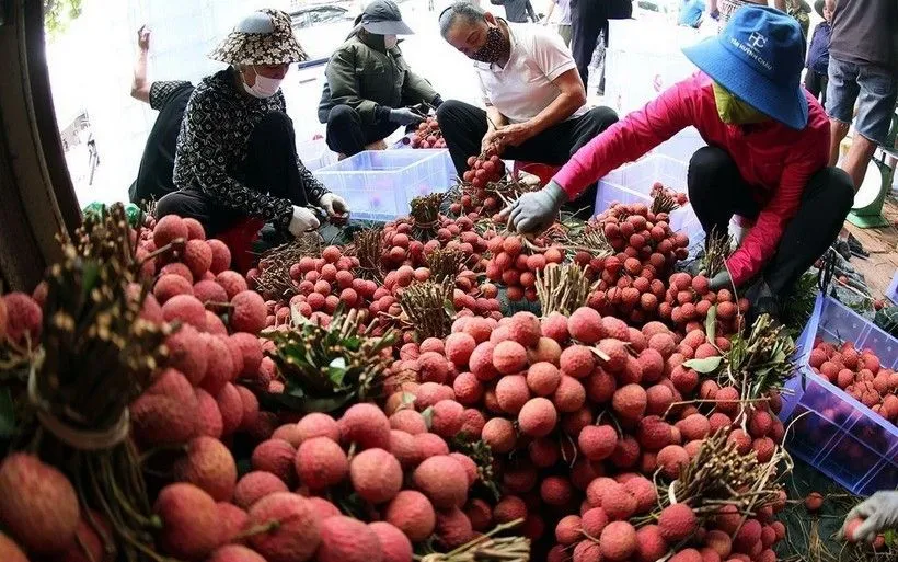 Bán vải thiều qua nền tảng số