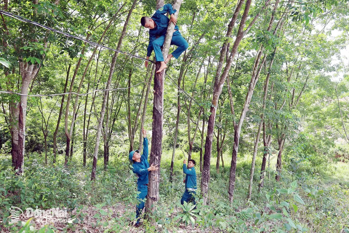 Đồng Nai: Người dân đồng lòng hiến đất mở đường - Ảnh 1.